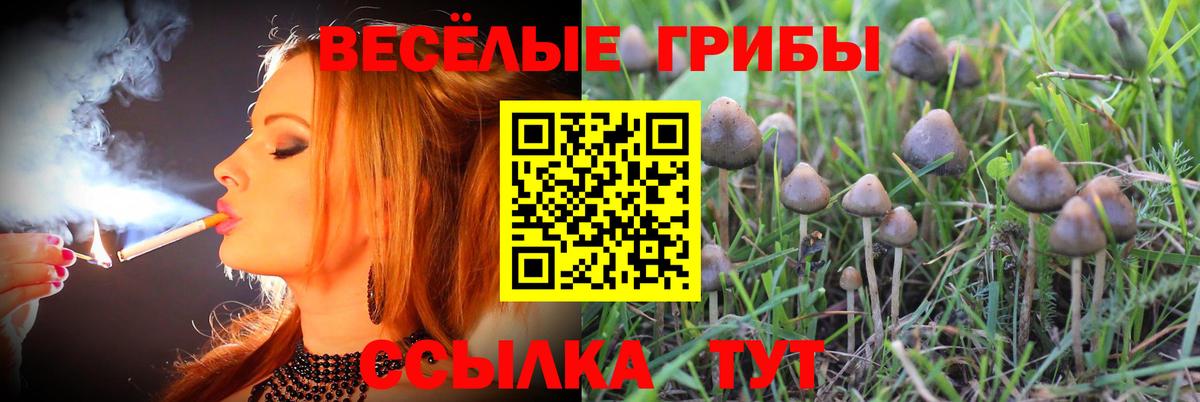 Галлюциногенные грибы Psilocybine cubensis  Галлюциногенные грибы MAGIC MUSHROOMS  Вход с VPN  Ессентуки 