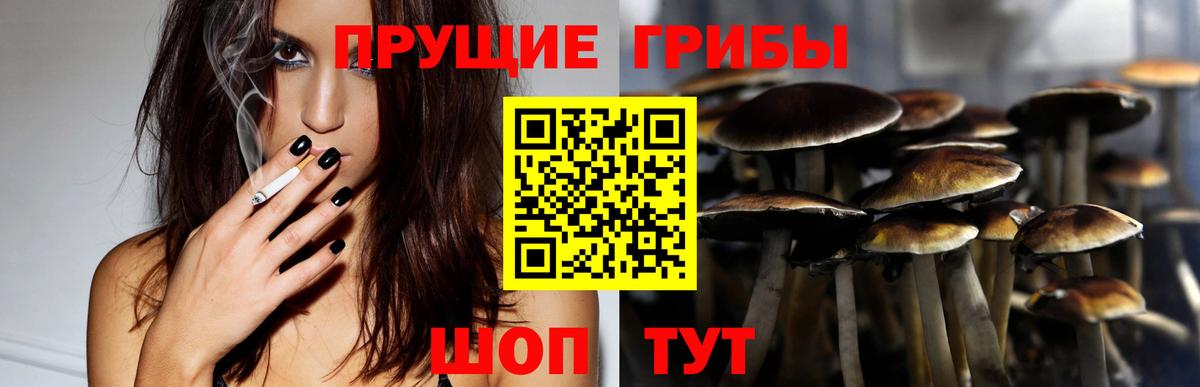 Псилоцибиновые грибы Cubensis Ессентуки